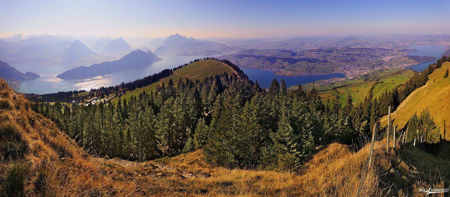 swiss, Матвеев Николай