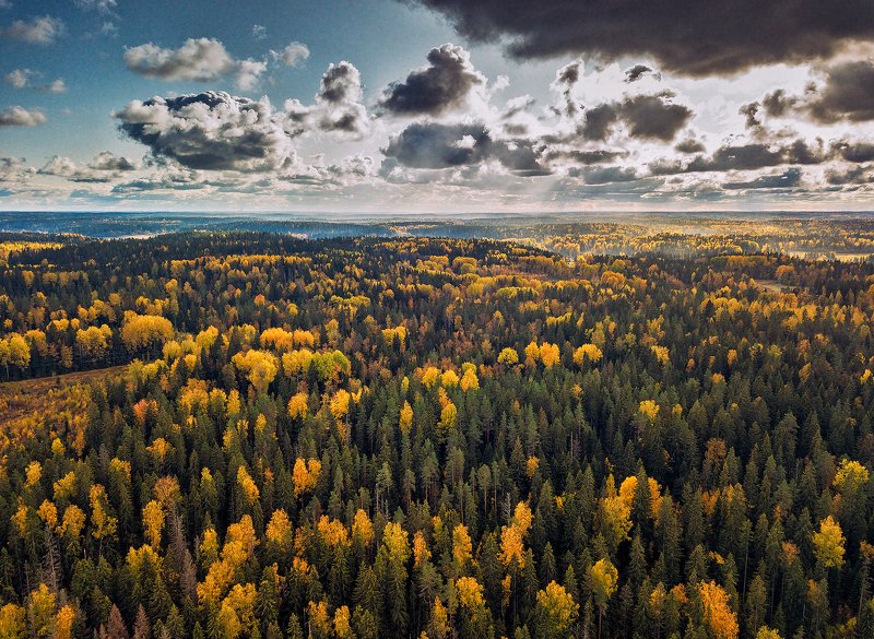 Октябрь во всей красе. фото превью