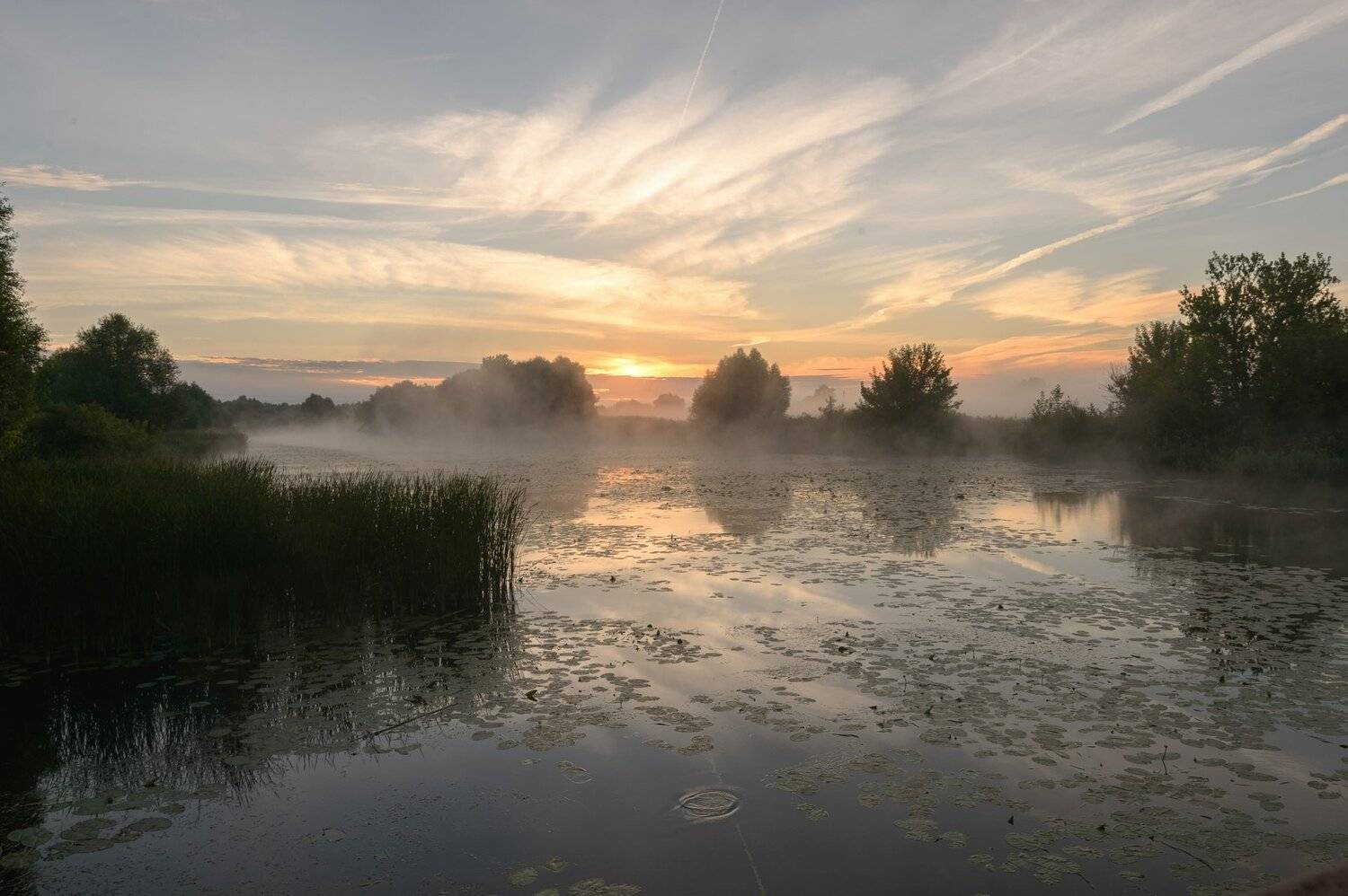 утро,природа,туман,пейзаж,россия,рассвет,красота, Юлия Лаптева