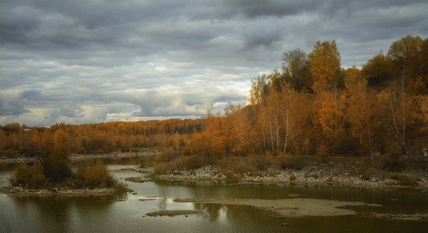 , Анатолий Зверев