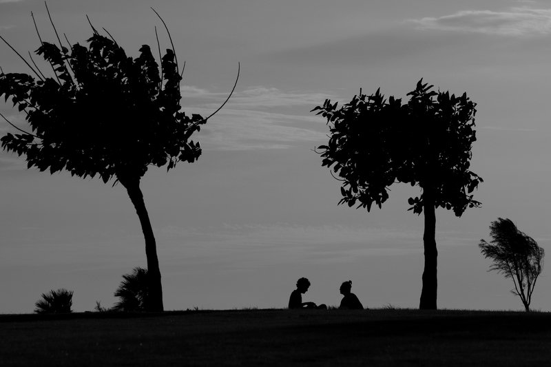 silhouettes ...#19 фото превью