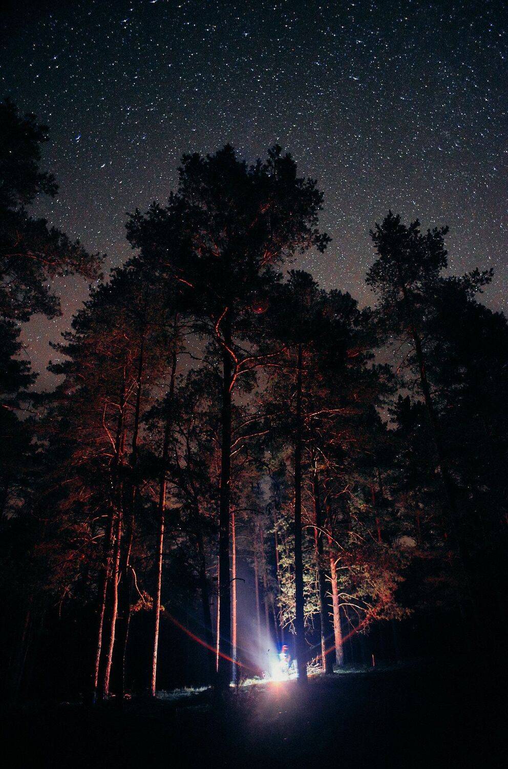 , Александр Фанковин