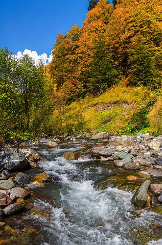Осень на реке Лашипсы