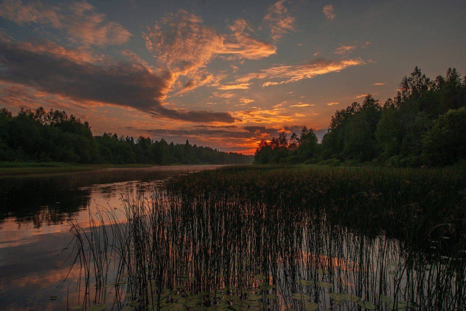великий двор,вологодчина,кема,север,лето,, Роман Горячий