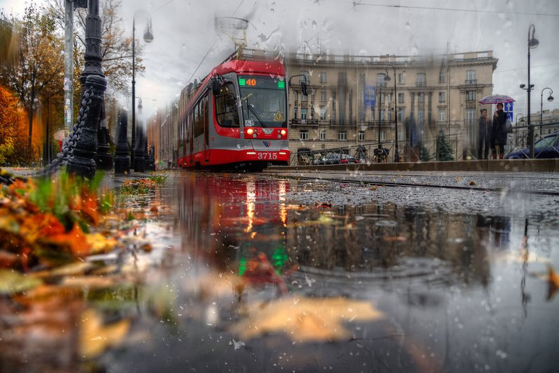 осень, осень... фото превью