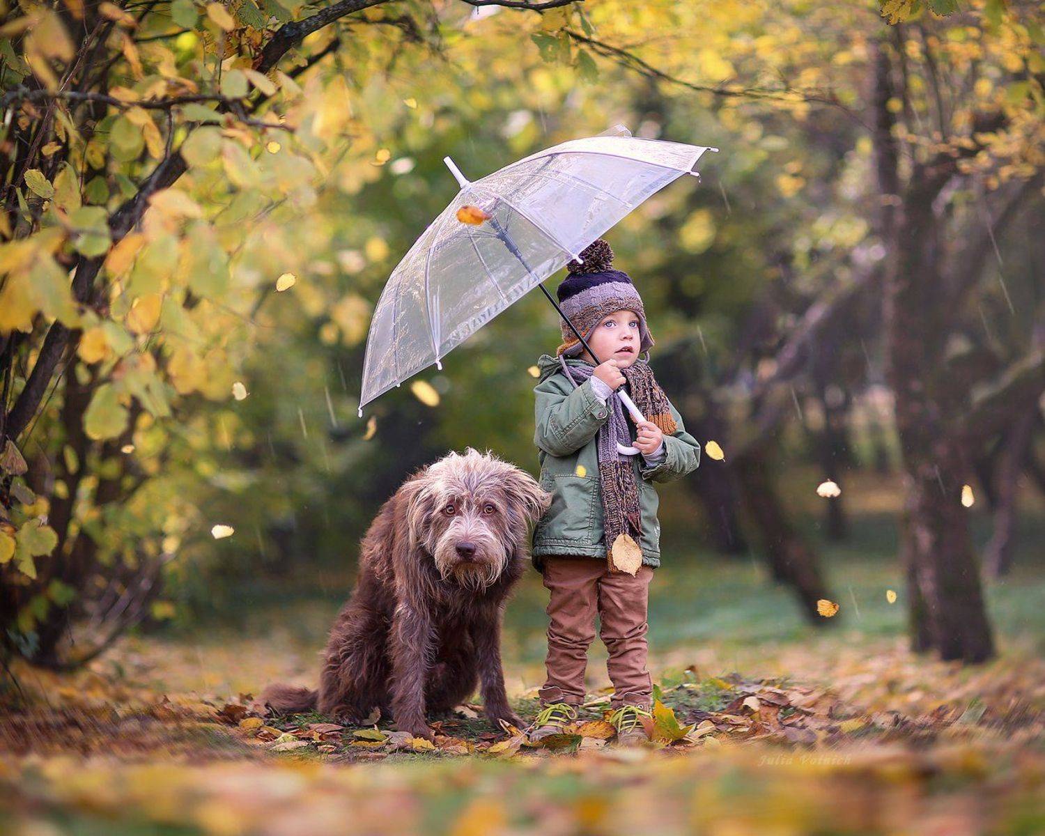 , Юлия Войнич