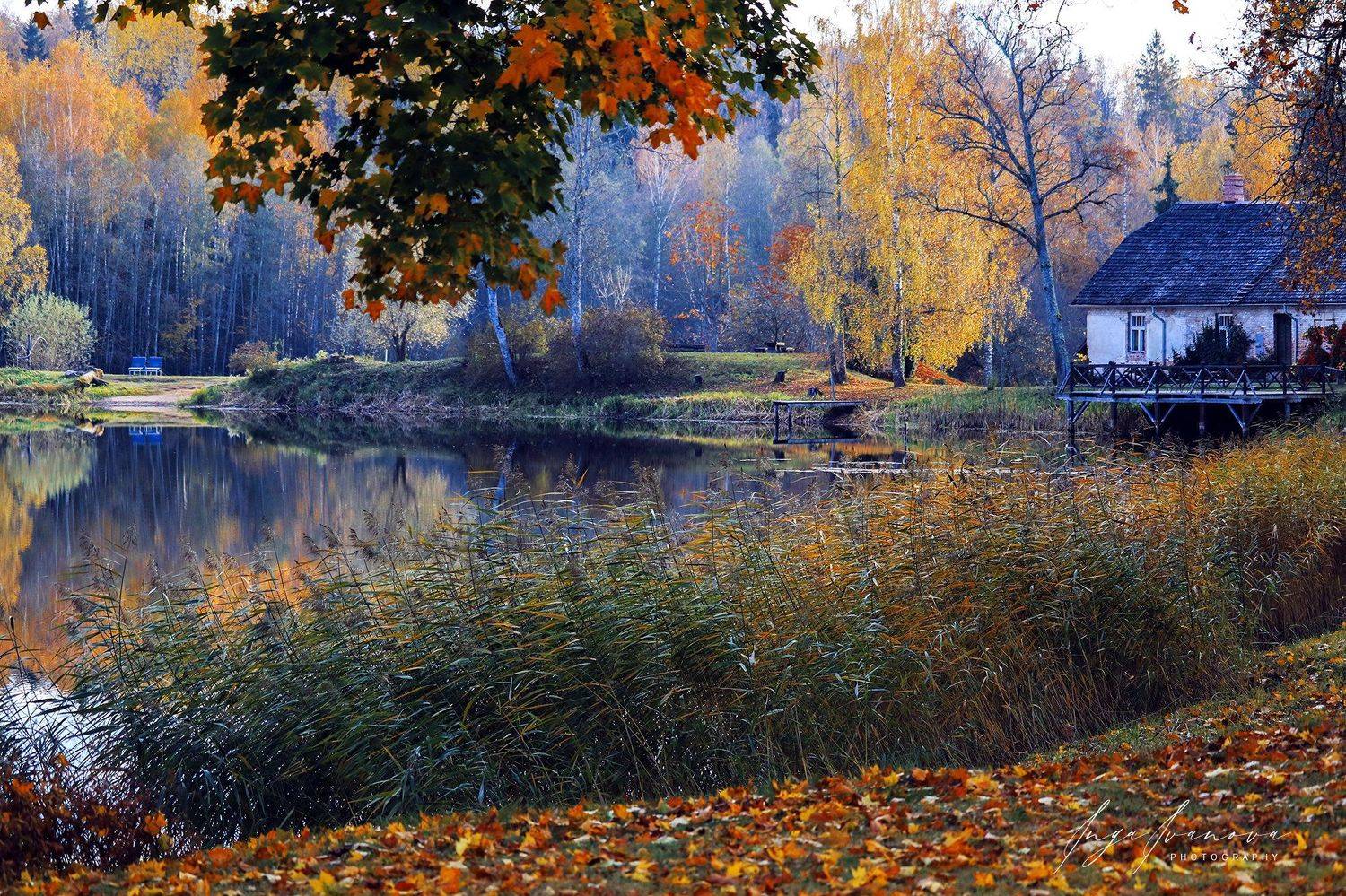 , Инга Иванова