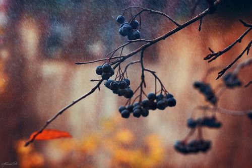 Настроение - октябрь