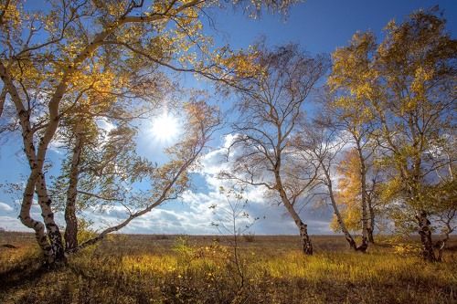 Осенняя Акварель