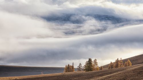 Алтайское утро