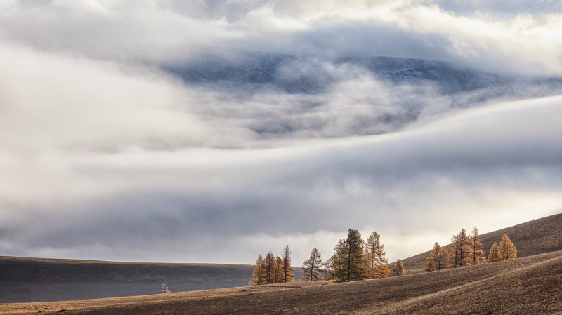 алтай, утро, туман Алтайское утро фото превью
