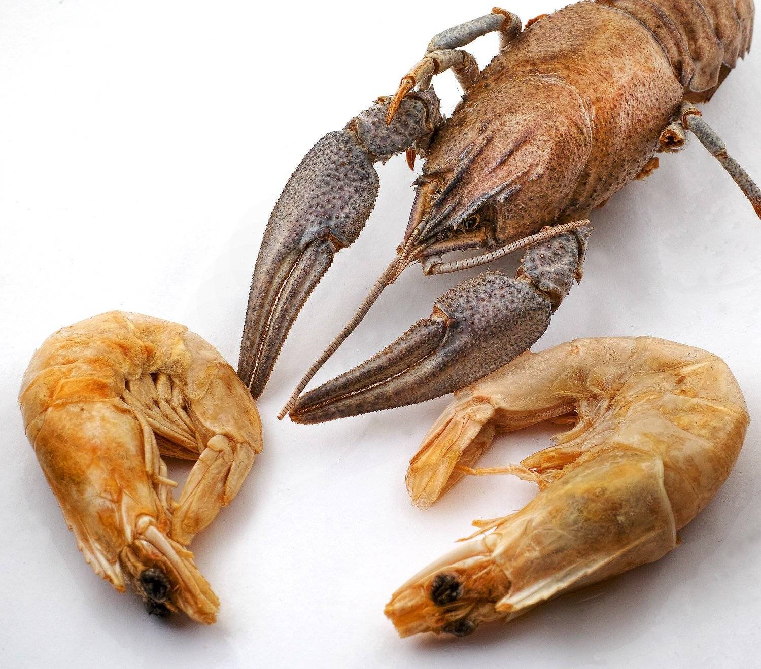 , Бусыгин Борис