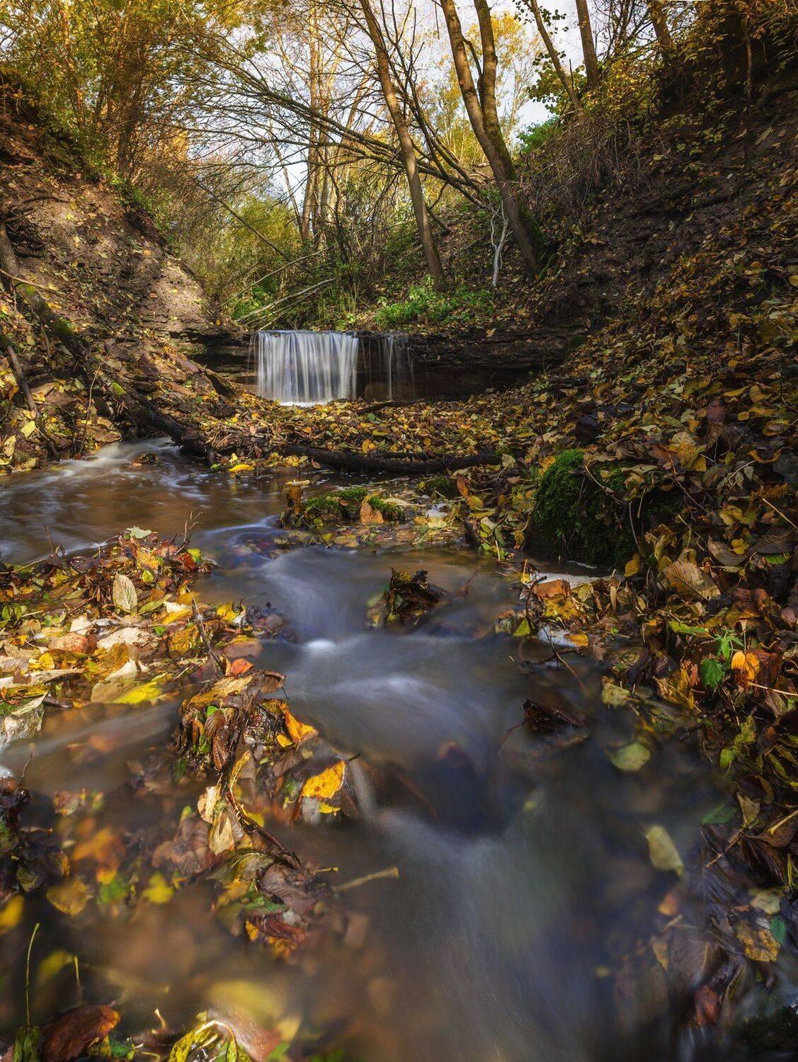 водопад, лес, осень, природа, Майя Афзаал