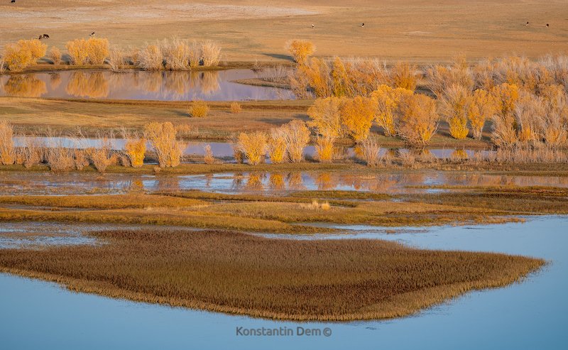 Алтайское золото фото превью