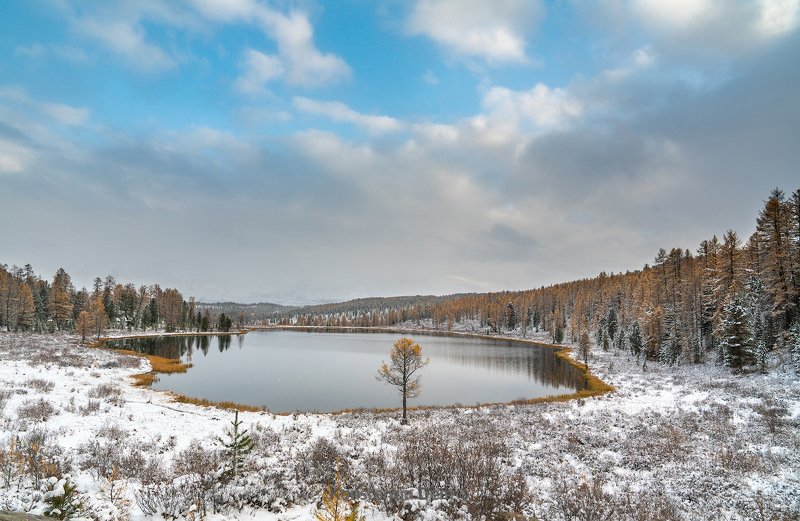 Киделю фото превью