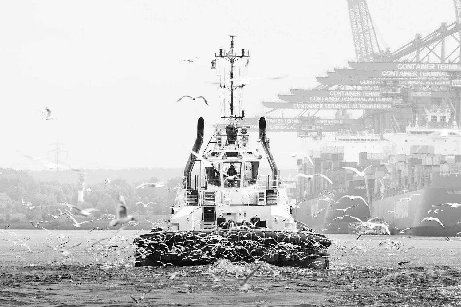 water, elbe, river, hamburg, germany, schlepper, ships, bugsier, Alexander Sch&ouml;nberg