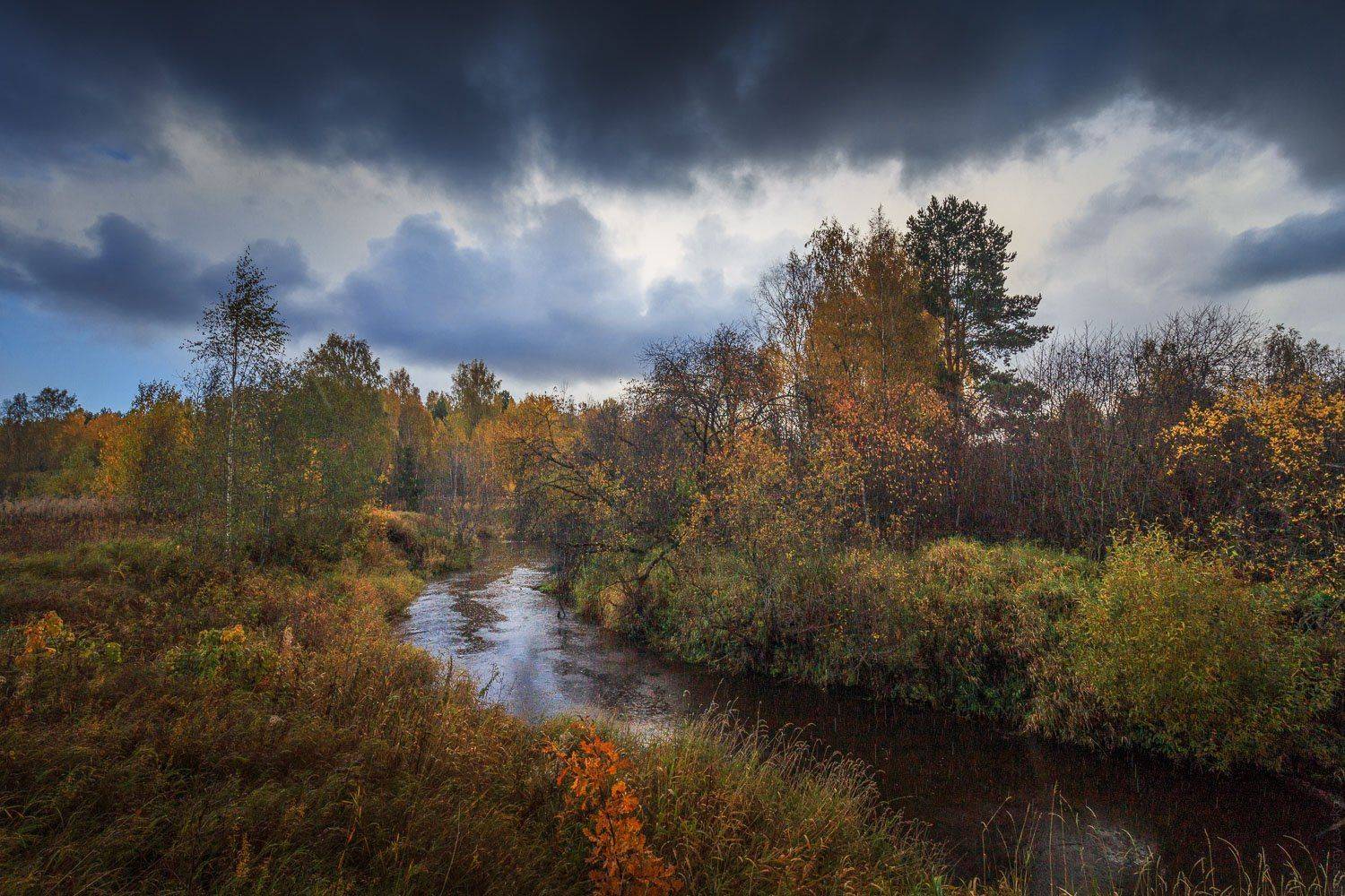 , Евгений Луцко