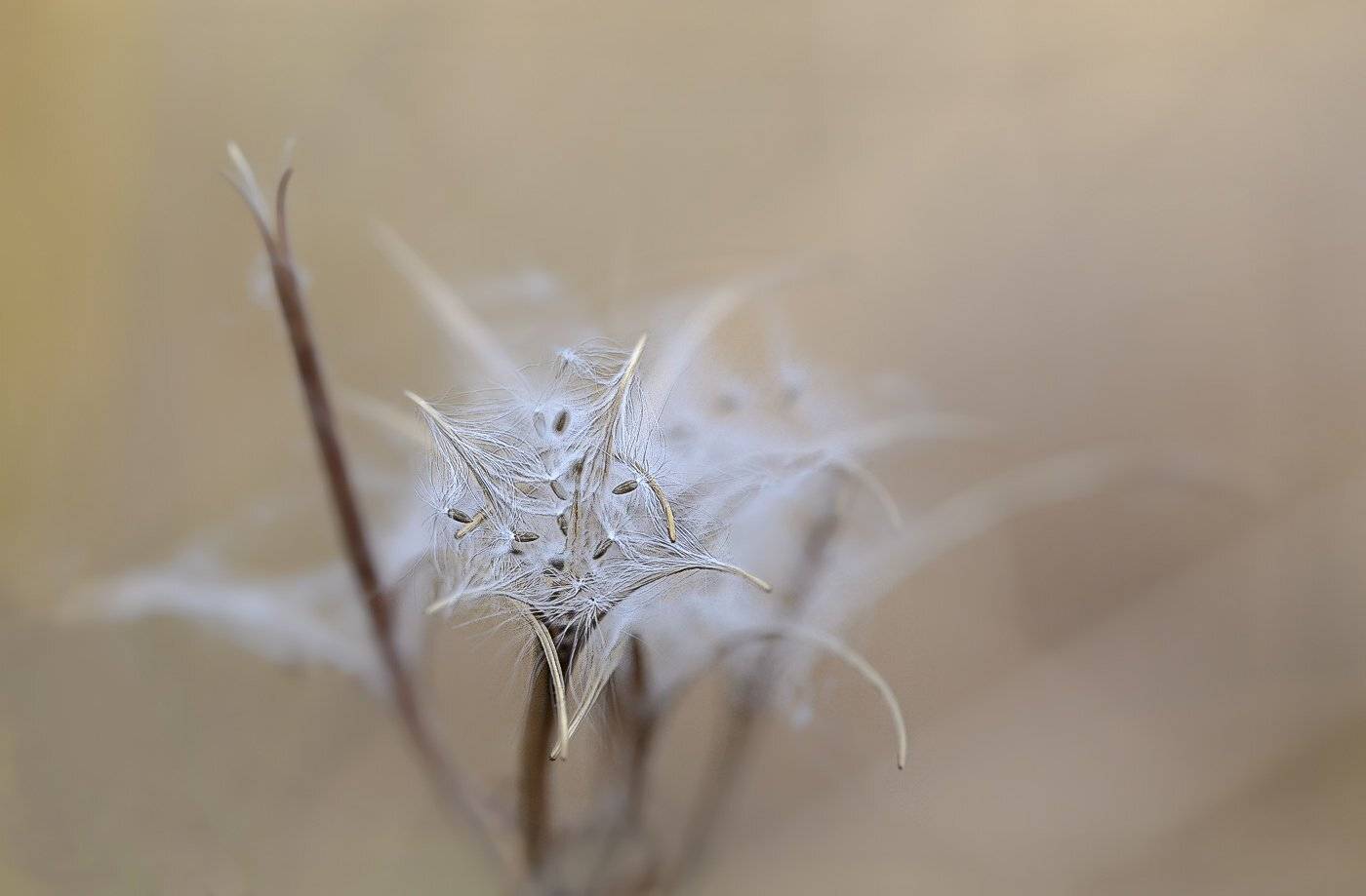 , Евгений Слободской