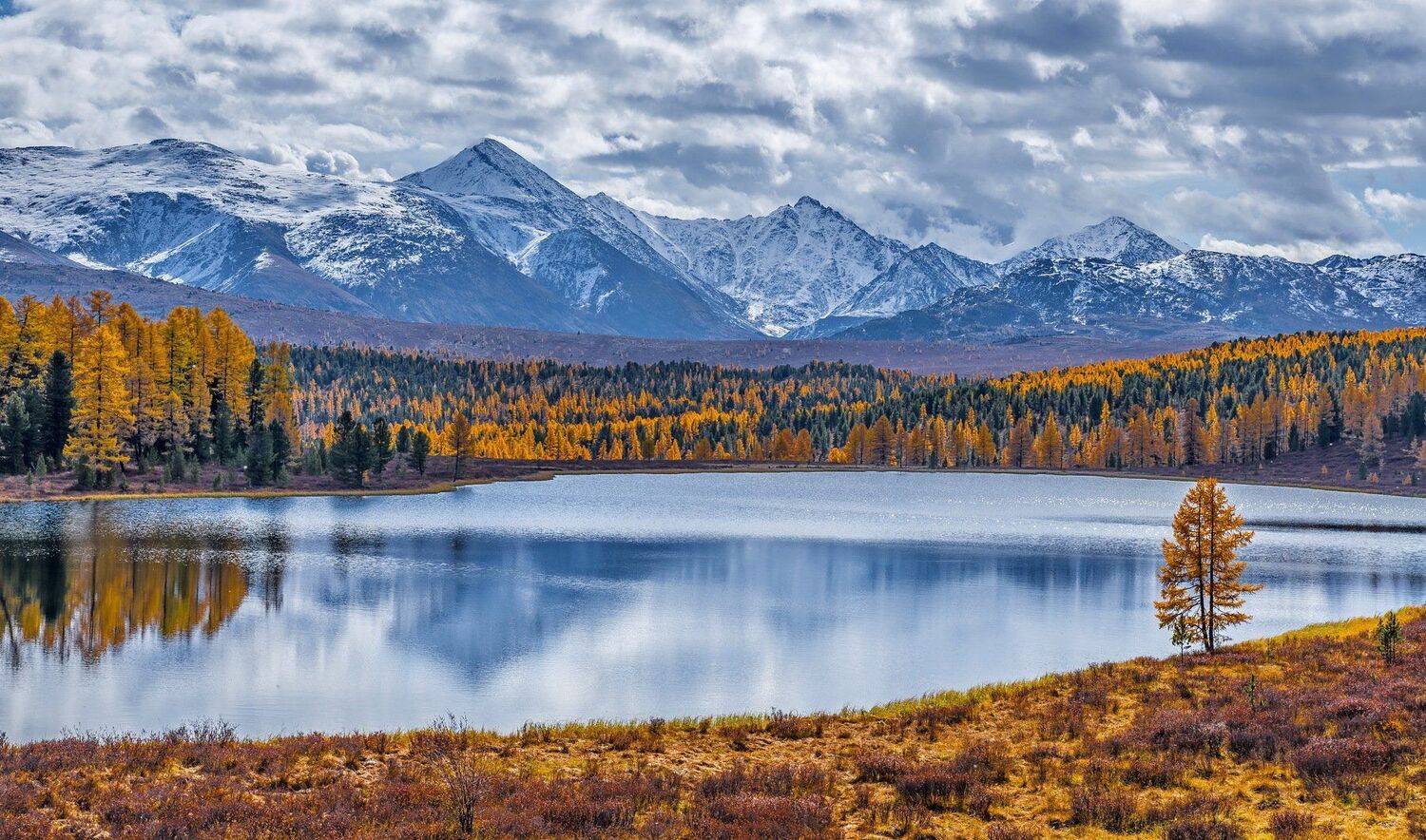 горы. алтай. осень, Евгений Дроботенко
