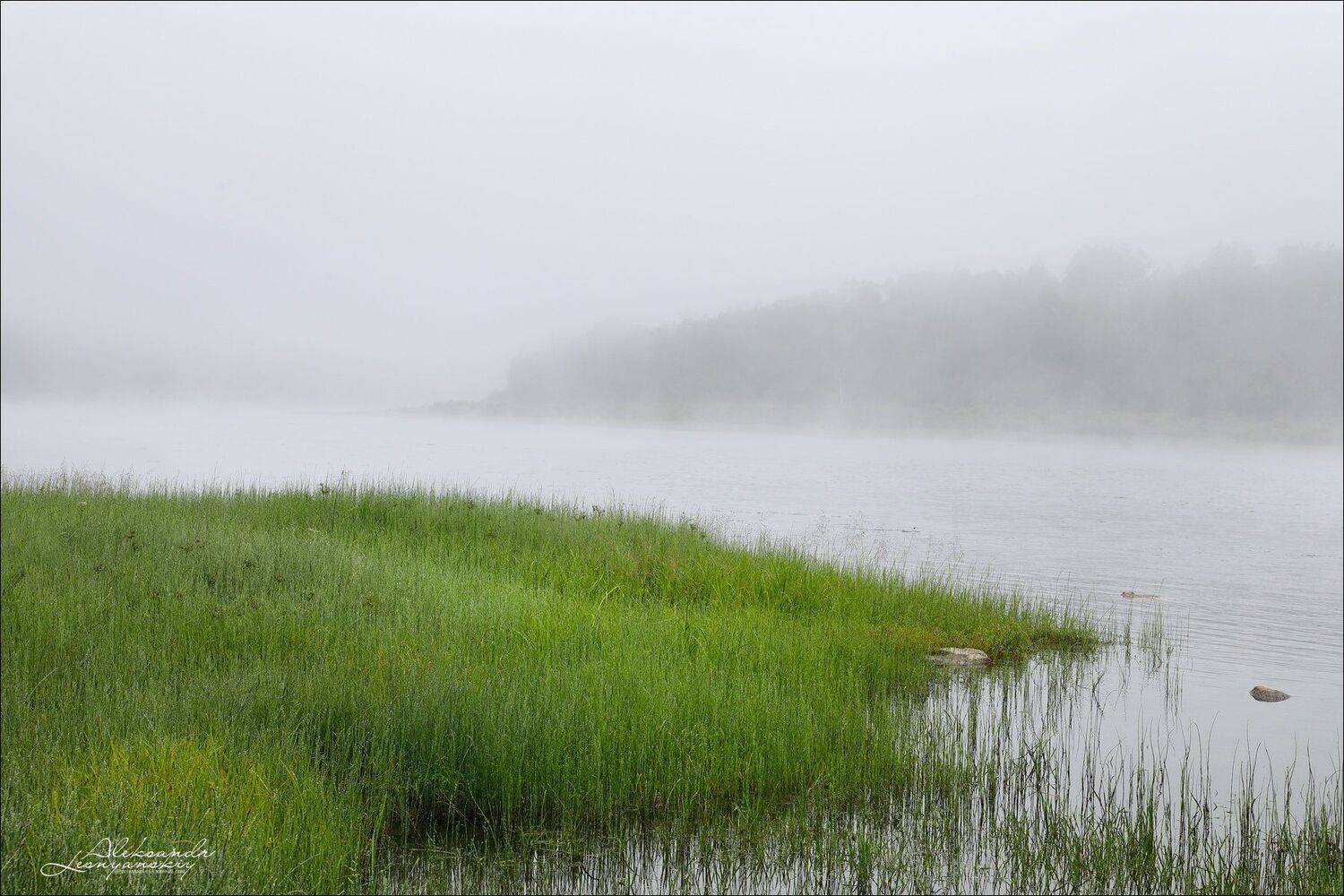 забайкальский, край, Александр Леснянский