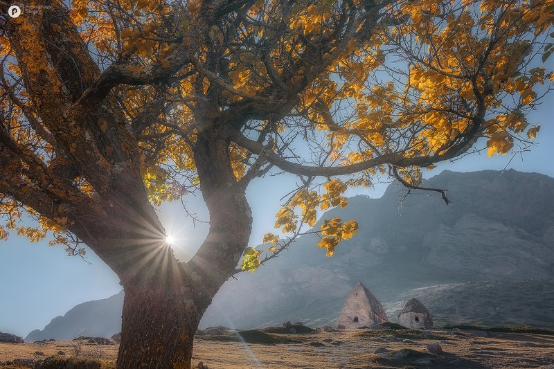 элтюбю Оберегающие вечность фото превью