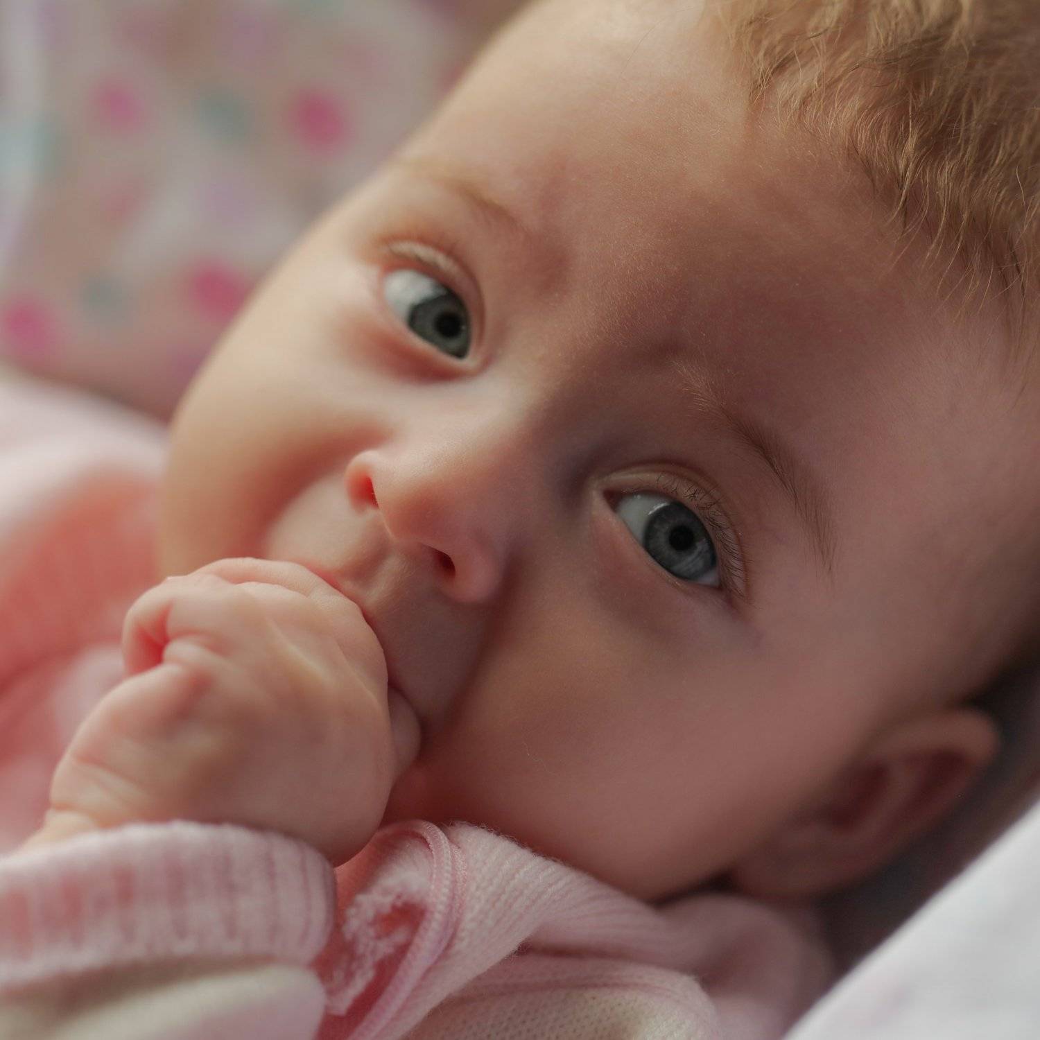 , Евгений Юрьевич Толкачев