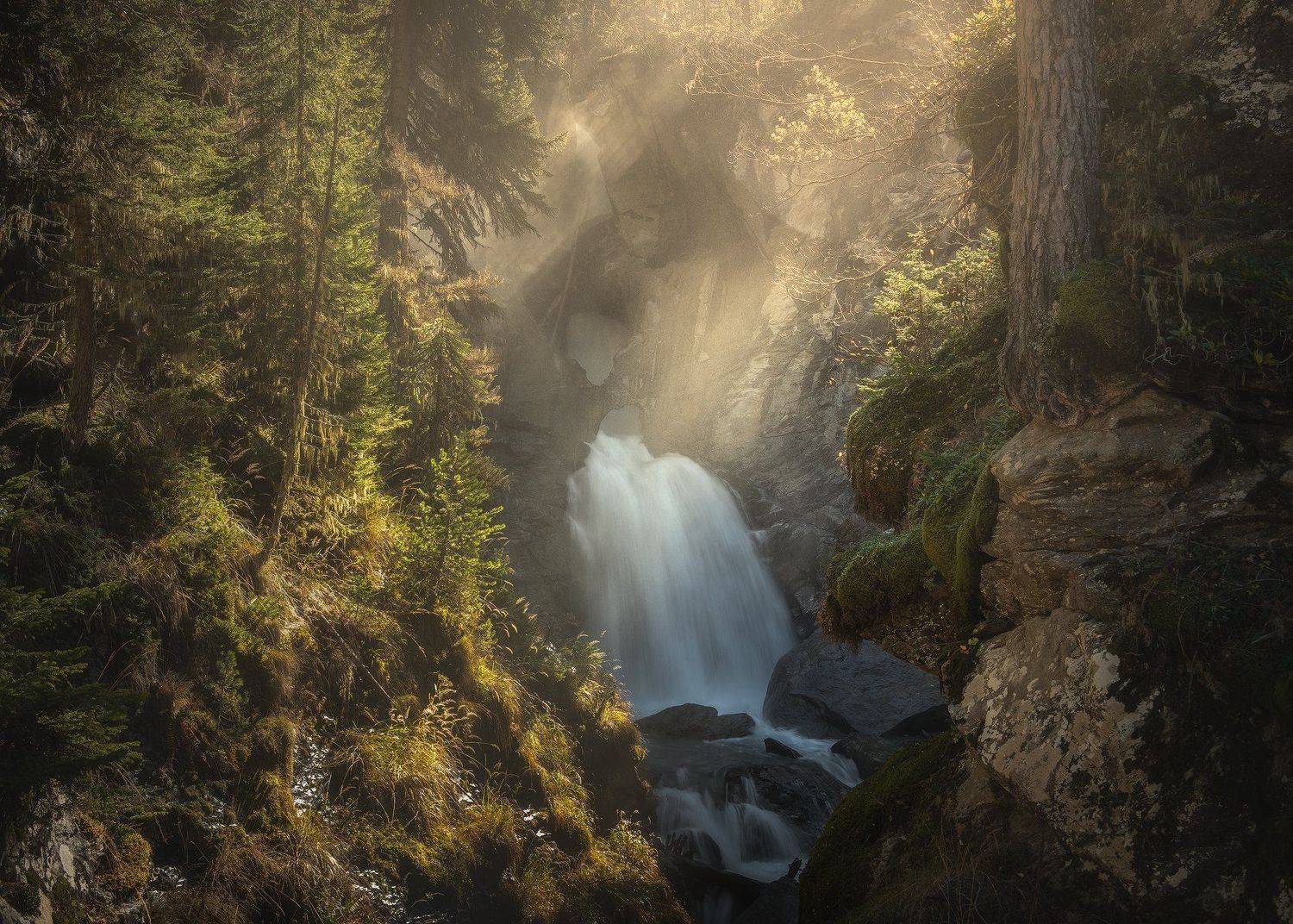 , Бахышев Сафар