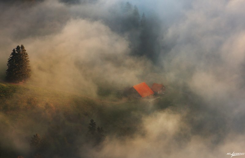 swiss,швейцария,осень,rigi А мы ночуем в облаке... фото превью