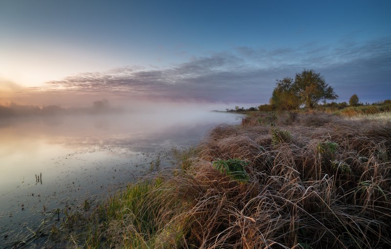 утро, туман, иней, трава, озеро Иней на траве. фото превью