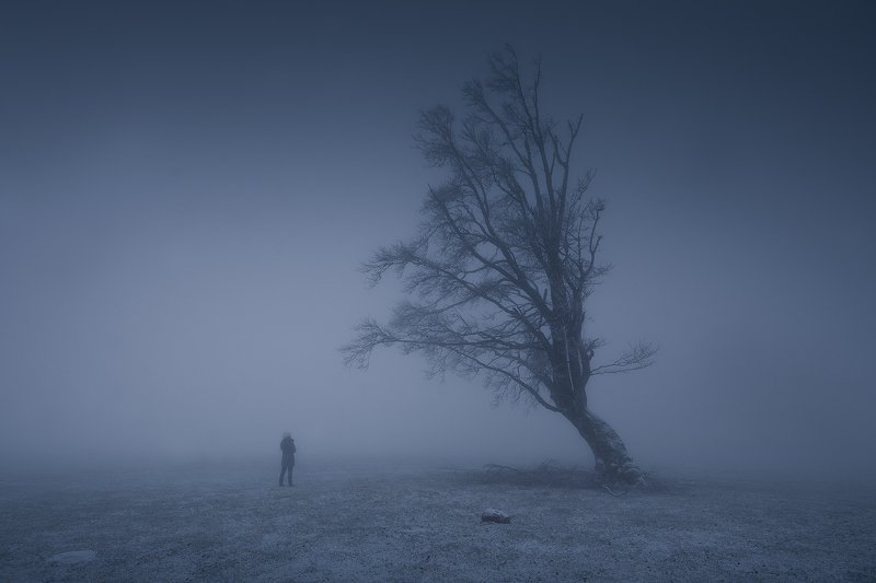 Lost in the Fog фото превью