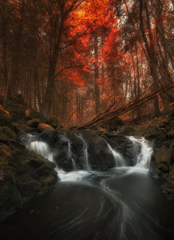 Fire and Water фото превью