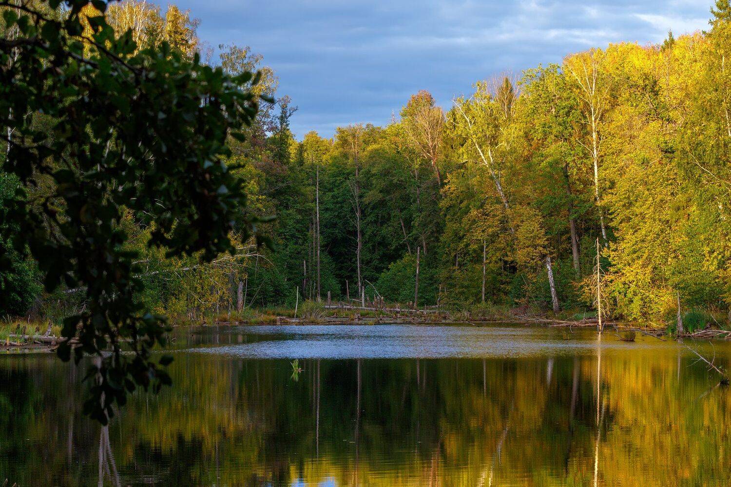 пейзаж, озеро, Сергей Сергеев