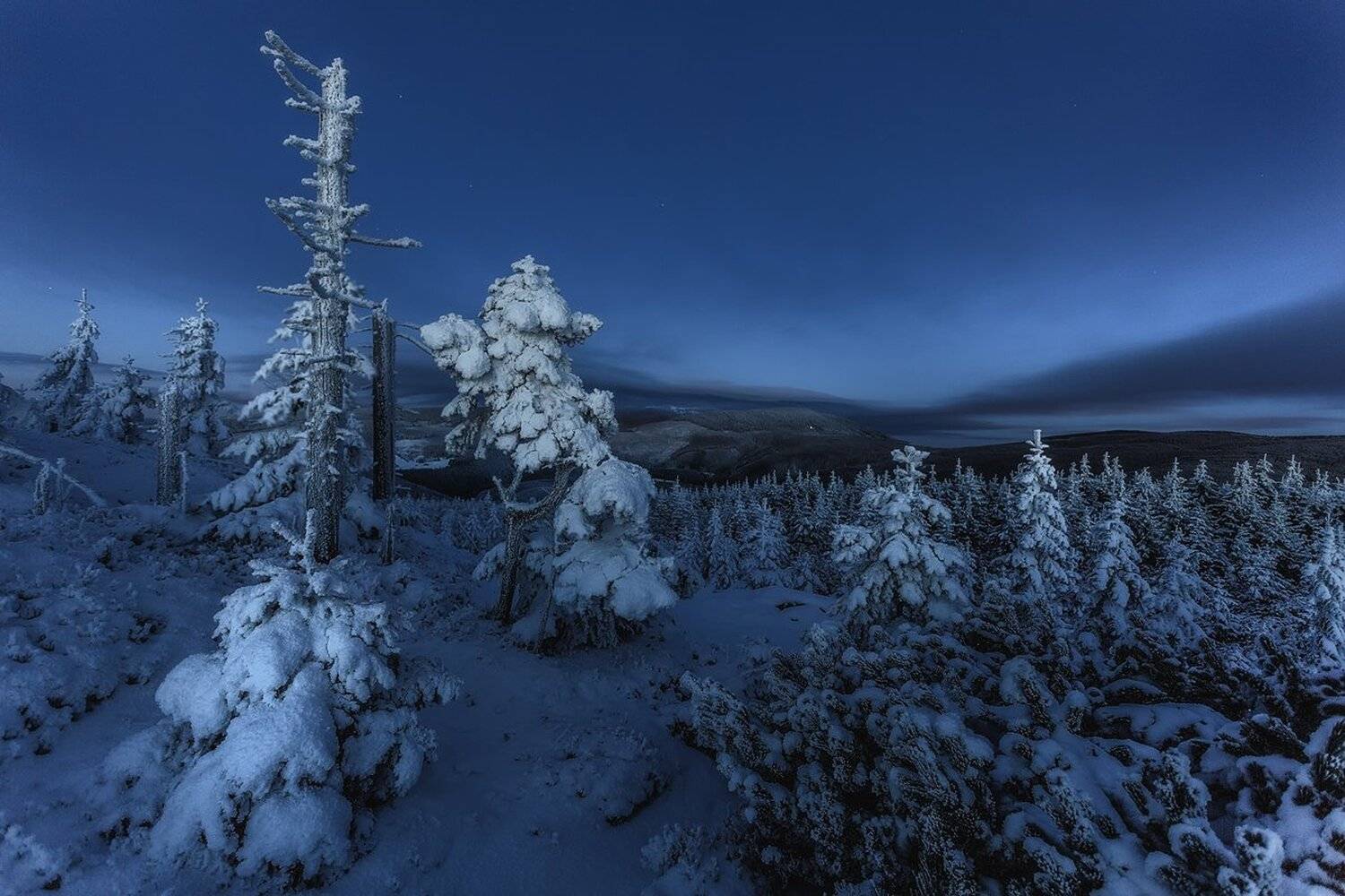 landscape,canon,night,winter, Iza i Darek Mitręga