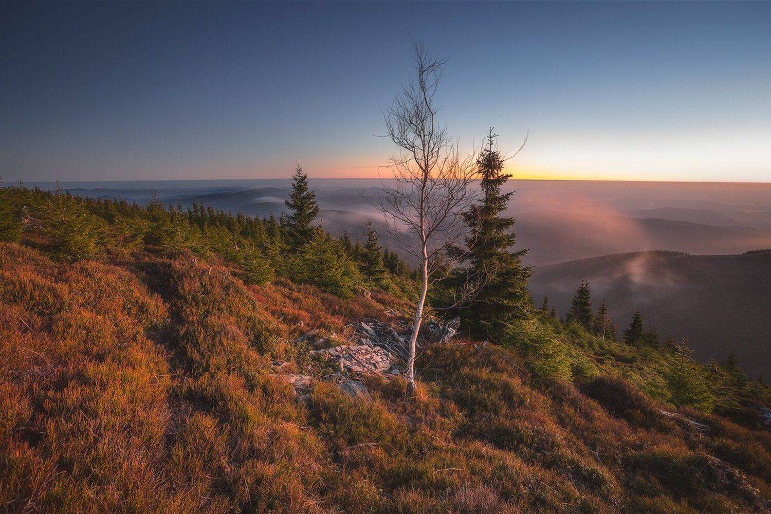 landscape,canon,mist,light,spring, Iza i Darek Mitręga