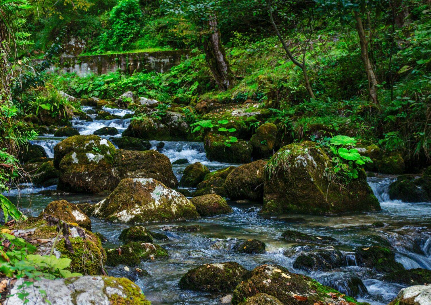 nevant60, пейзаж, красота, природа, Александр Березуцкий