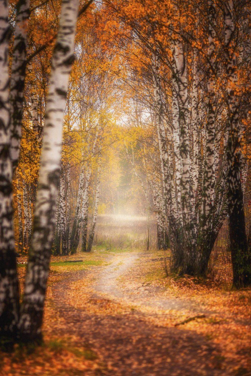 , Сергей Сатуло