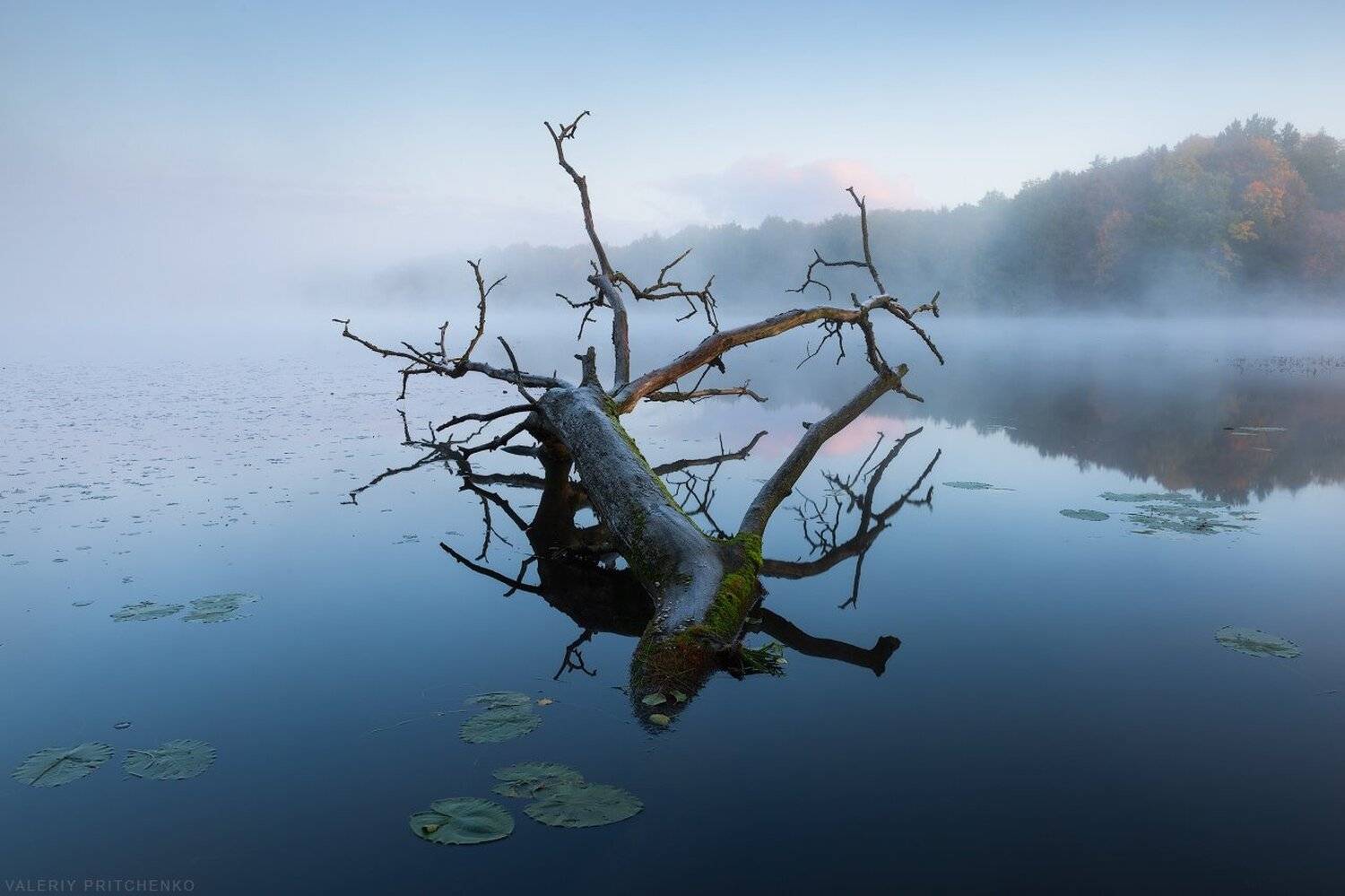 , Валерий Притченко