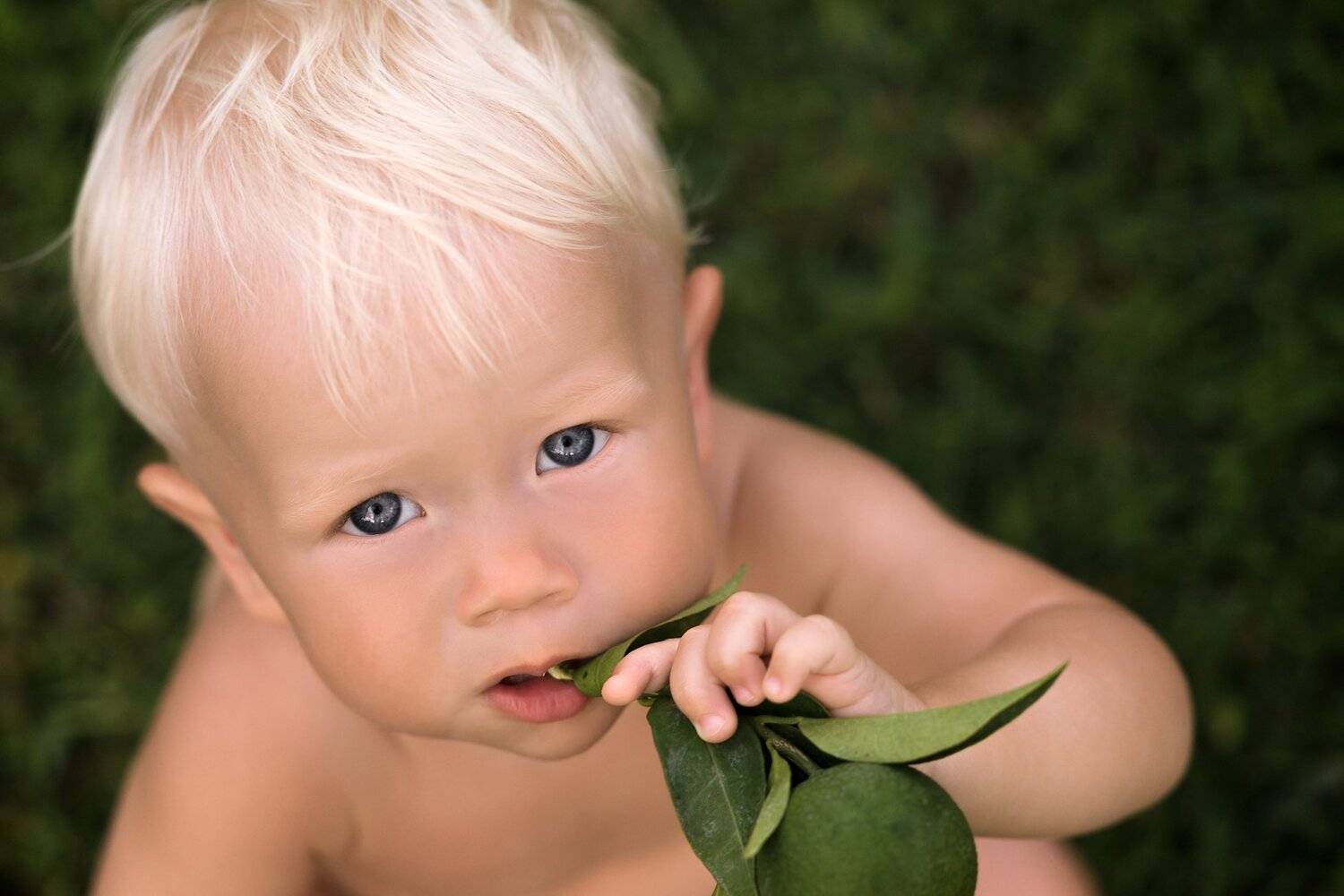 новорожденный, новорожденные, ребенок, детский портрет, ребенок, дети, Шиманов Антон