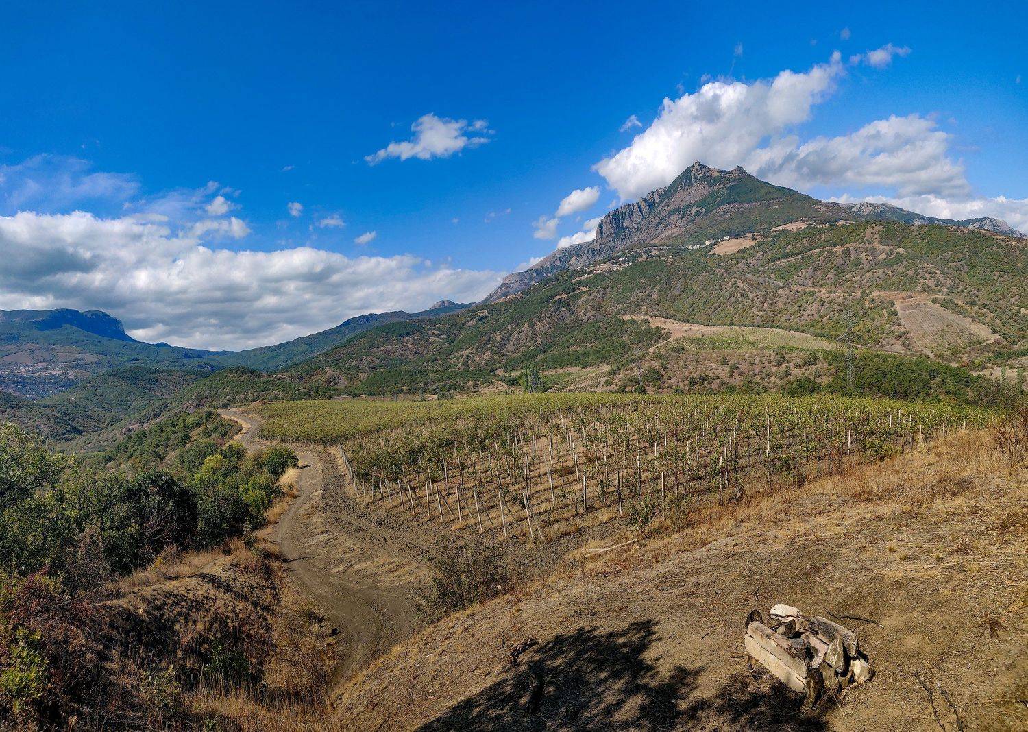 Крым, виноградники, алушта, горы, Королев Саша