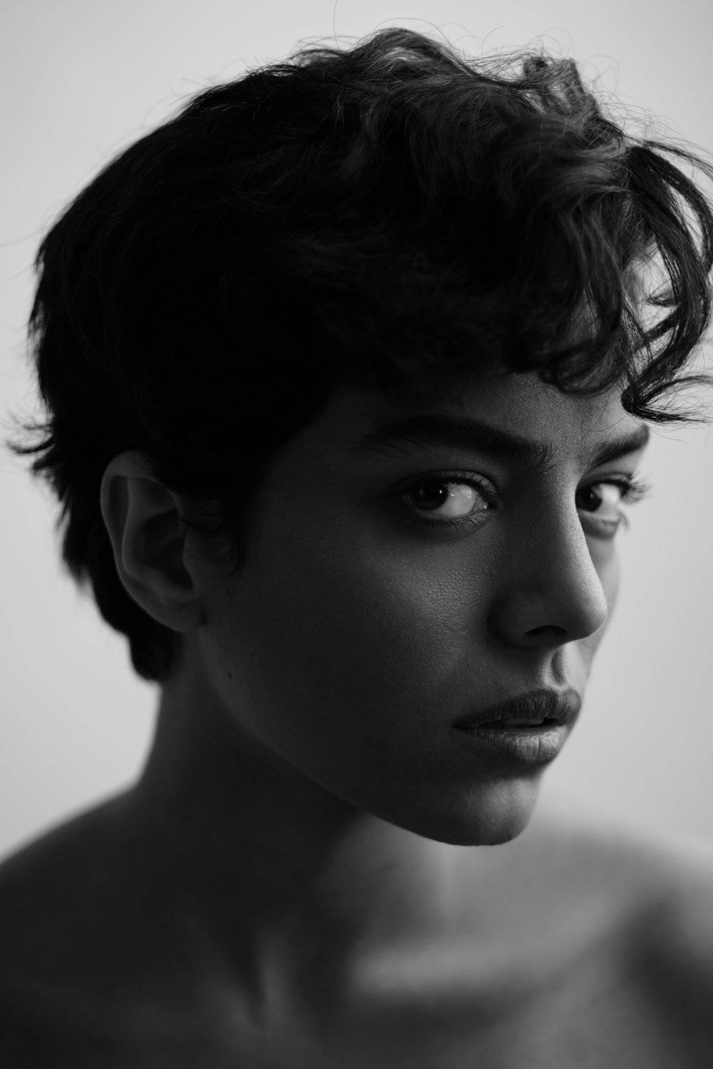 , Hamidreza Sheikhmorteza