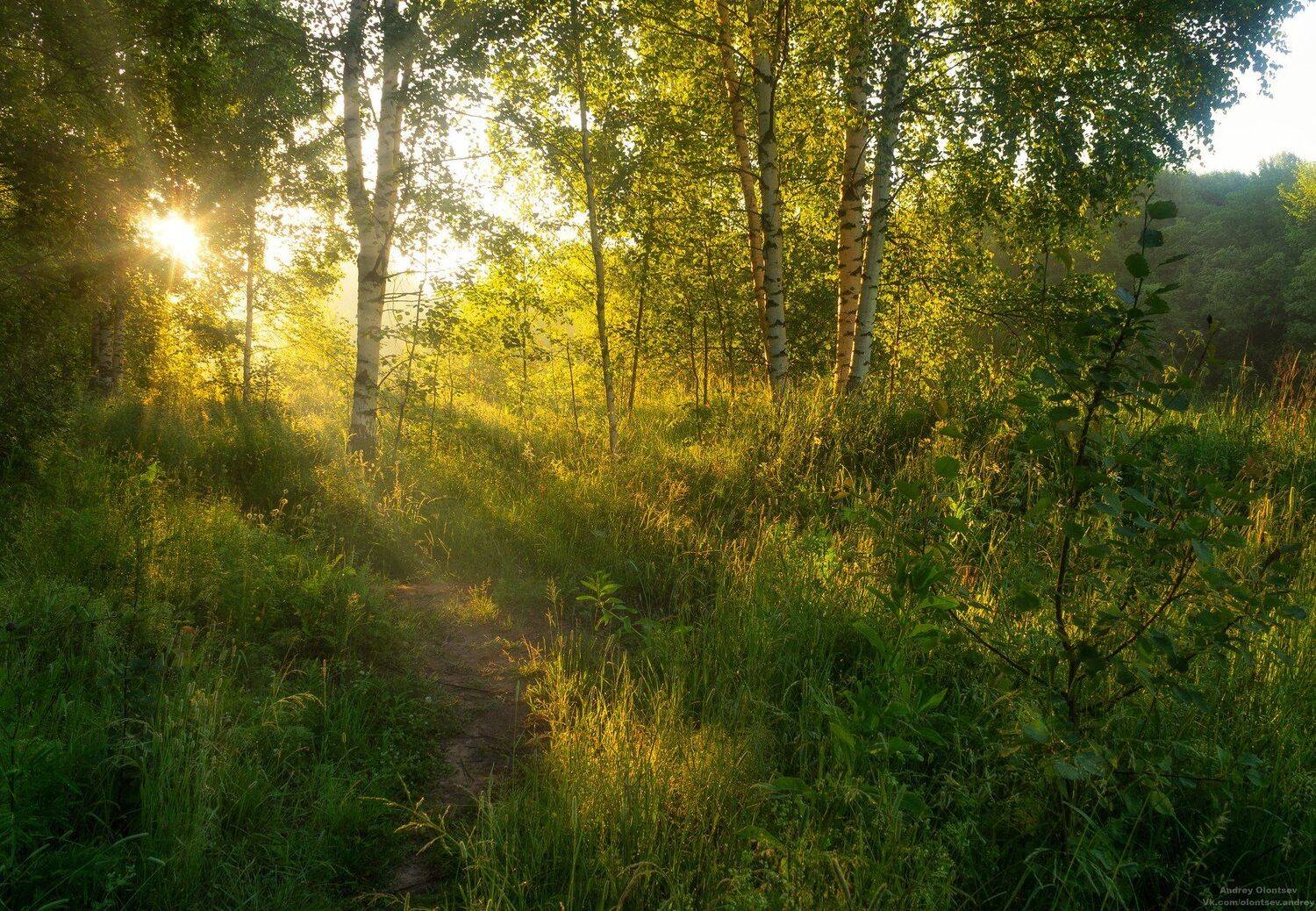 солнце, россия, рассвет, природа, подмосковье, погода, пейзажи, пейзаж, отражение, наукоград, красота, дубна, вода, весна, weather, water, spring, russia, reflection, naukograd, nature, moscow, landscape, dawn, canon, dubna, beauty, Андрей Олонцев