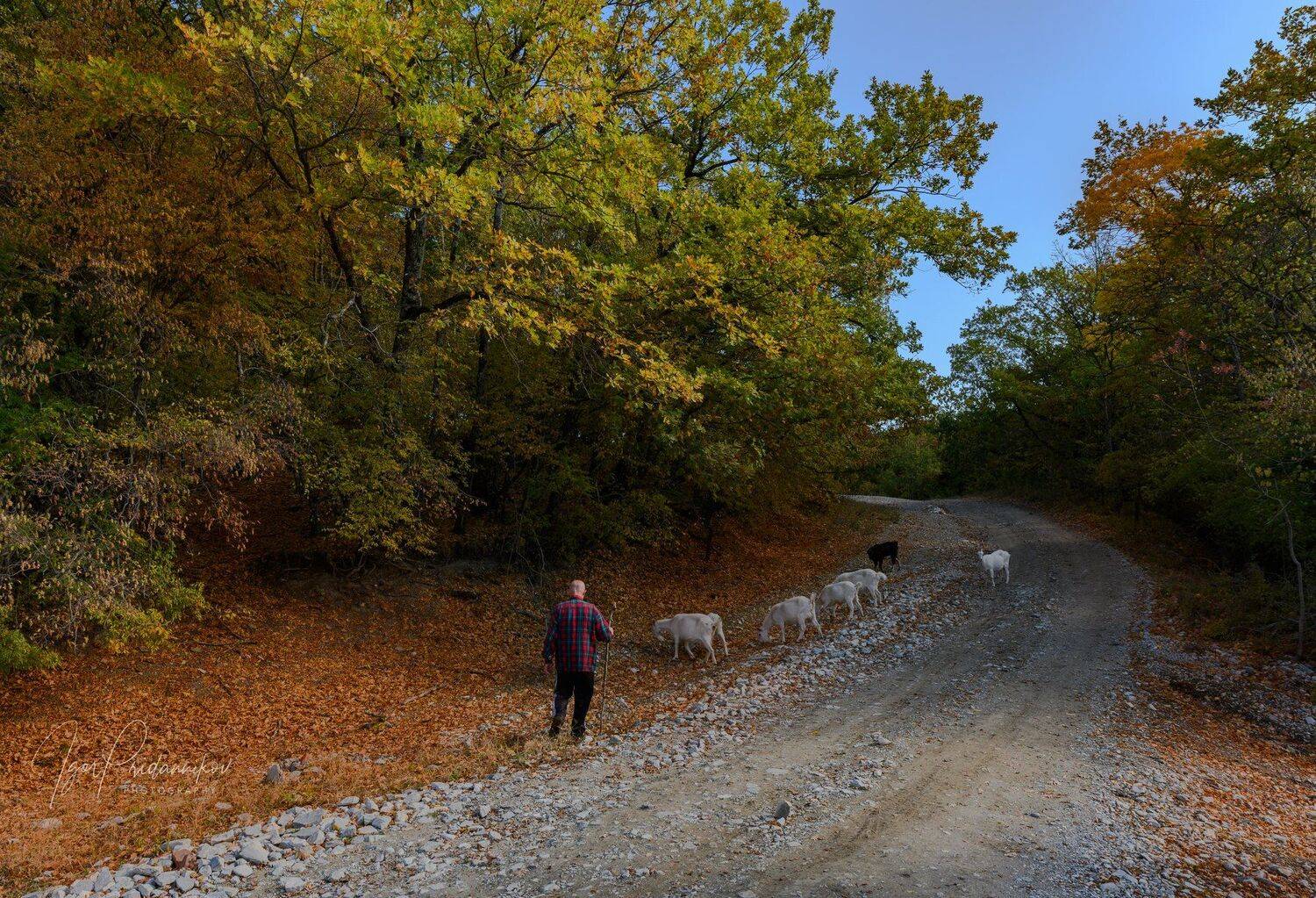 , Игорь Приданников