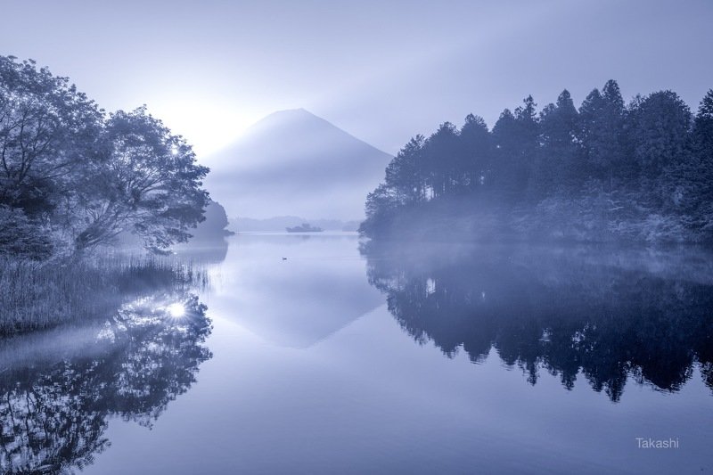 Fuji,mountain,Japan,haze,gas,reflection,water,lake,beautiful,blue,tree, Reflection in morning haze фото превью