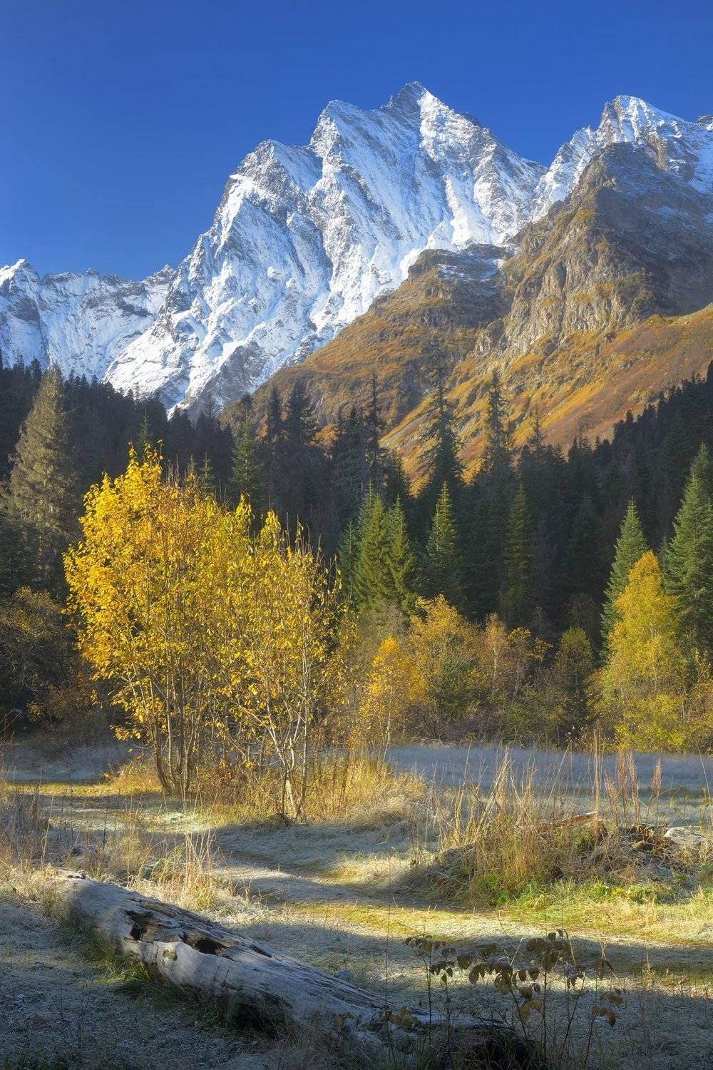 горы кавказ осень утро бу-ульген, Александр Жарников