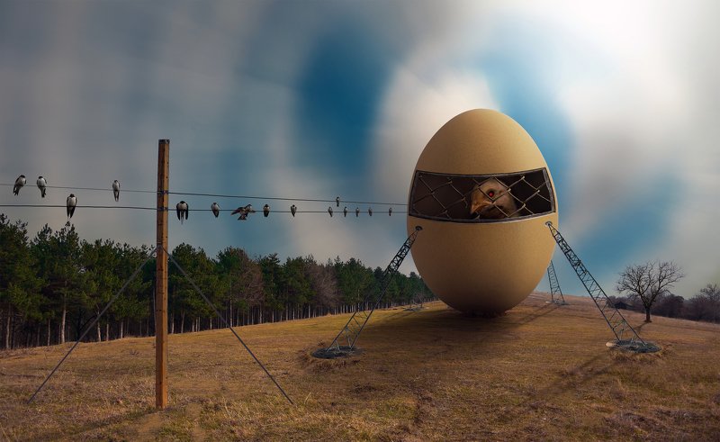 ceclii, nikon d3400, conceptual  фото превью