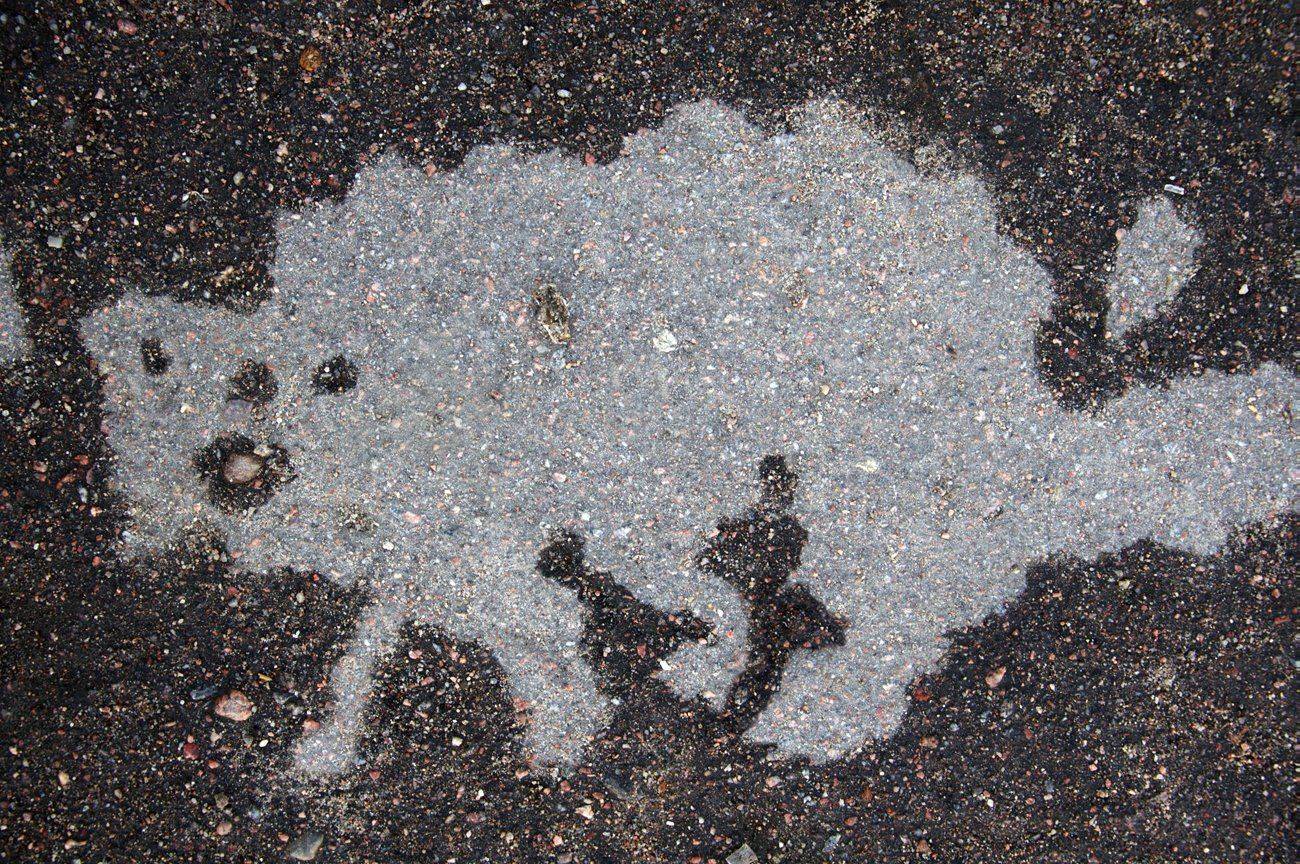 pareidolia, ПОЛУЕВ ИЛЬЯ