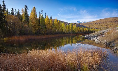 Осенние краски Алтая