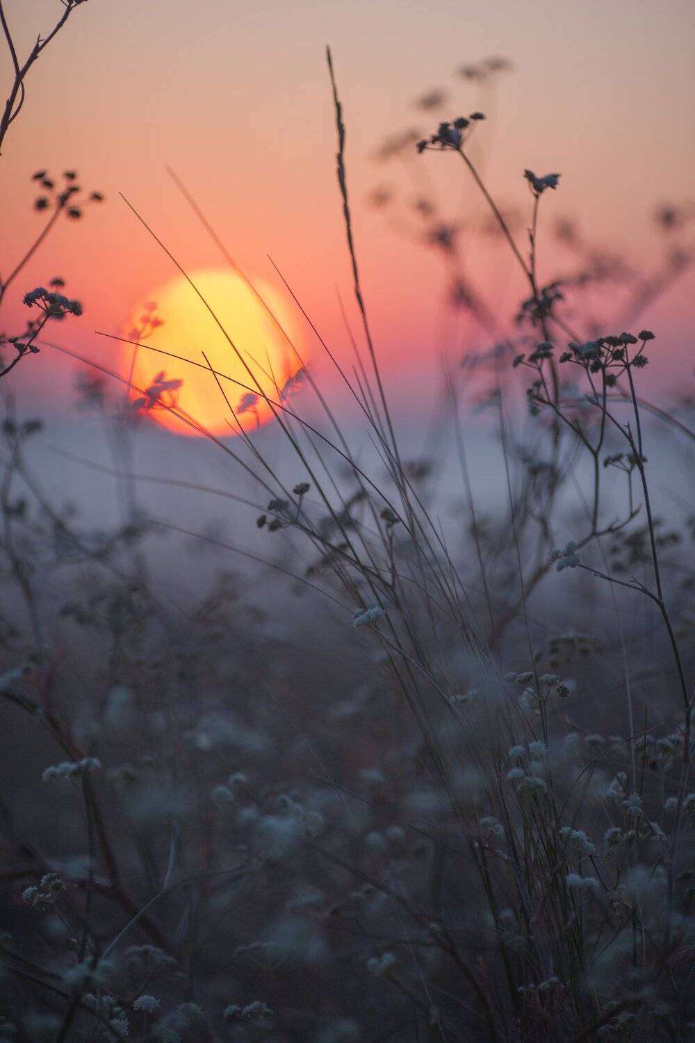 #природакрыма #степнойкрым, Румянцева Мария