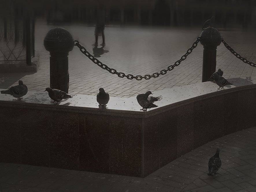 , T. Bondarenko