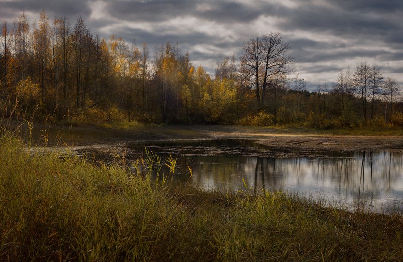 *** фото превью